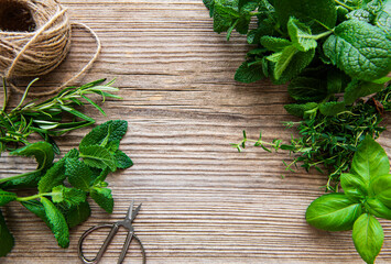 Mix of fresh herbs from garden on an old table