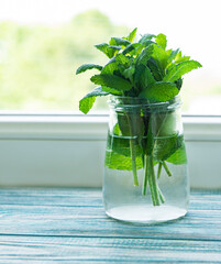 Fresh mint leaves in a small glass jar © Olena Rudo