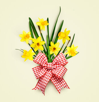 Yellow daffodils with bow ribbon spring flowers on bright background