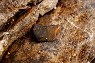 close up of a rock