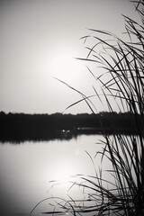 Black and white vertical photo of a rural river with sky and reeds in the foreground during sunset