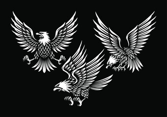 set of eagle illustration in black background.