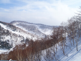 Overlooking snowy mountains and forest from a ski resort (Kawaba, Gunma, Japan)