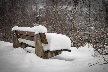 verschneite Bank im Wald