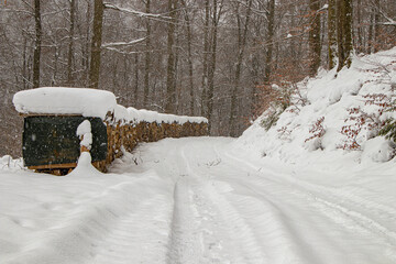 Wege durch verschneiten Winterwald