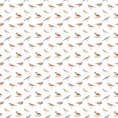 Watercolor seamless patterns with birds High resolution 300 dpi, 4000x4000px great for textile and fabric design, scrapbooking, wall paper, packaging. Watercolor texture, background, backdrop