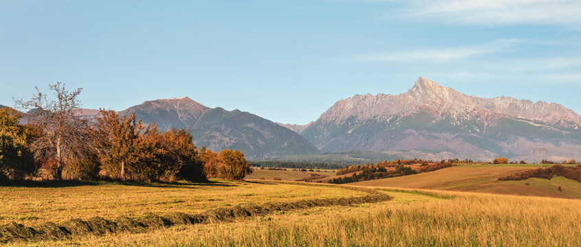 Mount Krivan peak (Slovak symbol) wide panorama with autumn harvested field and some trees in foreground, Typical autumnal scenery of Liptov region, Slovakia