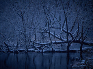 Mysterious dark forest and river. Fallen tree. Snow and night.