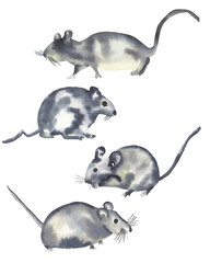 Watercolor mouse illustration isolated on white. Cute watercolor animal illustration in gray and yellow colors. Nursery, kids, children hand painted art work