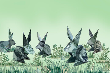 Fototapeta premium money growth concept