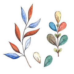 Watercolor set. Multi-colored, bright branches and leaves. Illustration on white background. Spring. Design for postcards, prints, stickers, wedding decoration, invitations. 