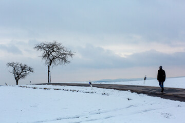 Fototapeta premium Lonely figure walking past a tree on a hill in rural place in winter 