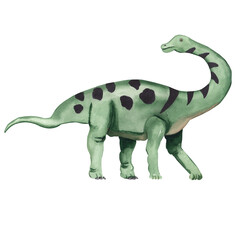 Watercolor dinosaur illustration Cute dino High resolution hand painted artwork. Watercolor animal isolated on white Baby shower, nursery, kids,  card, invitation.