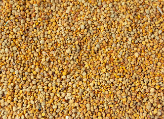 Bee pollen granules. Natural texture.