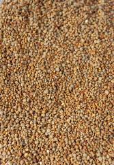 Bee pollen granules. Natural texture.