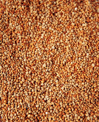 Bee pollen granules. Natural texture.