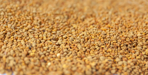 Bee pollen granules. Natural texture.