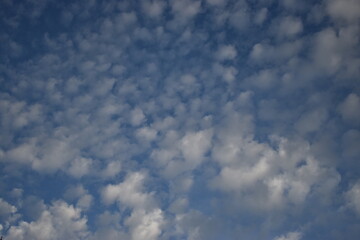 雲