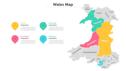 Infographic Vector Template