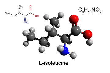 Chemical formula, structural formula and 3D ball-and-stick model of L-isoleucine, an essential amino acid, white background