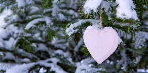 Pink heart on snow covered pine branch .Valentines day background.