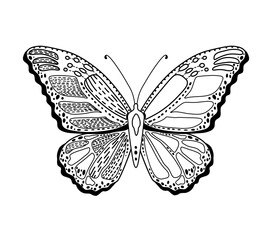 Butterfly antistress coloring book for adults. Vector illustration.