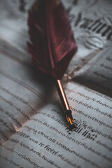 Quill pen resting on a calligraphy worded document