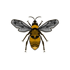 Realistic, decorated and stylish black and yellow bee