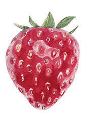 Strawberry watercolor illustration. Great as print, poster, greeting card.