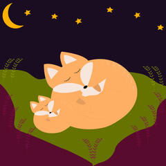 mather fox with a little fox sleeping in a clearing, night, stars, grass, moon, warm colors, beautiful vector illustration