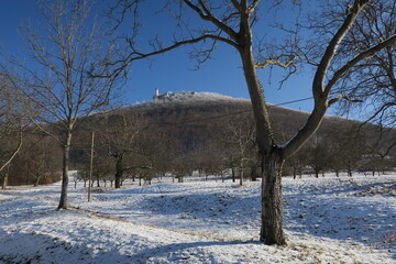Blick auf die Burg Teck auf dem Berg Teck im Winter bei Owen (Kreis Esslingen)