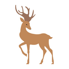 Elegant brown deer on a clean white backdrop
