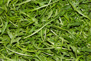 close-up of a pile of fresh arugula leaves .