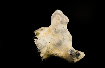Large flint rock close up isolated on a black background
