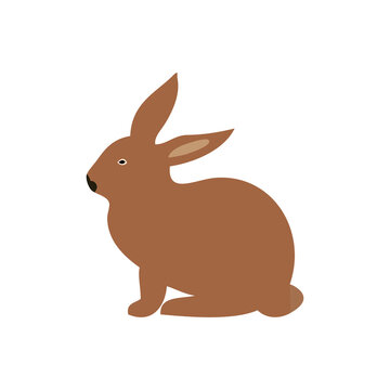 brown rabbit vector illustration on white backdrop