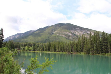 Summer Calm On The River, Banff National Park, Alberta