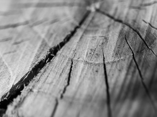 old wooden background