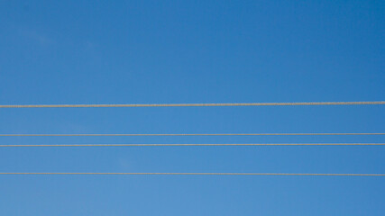 Four thin straight lines on a blue background