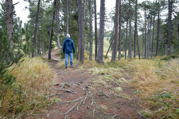 homme sur un chemin de randonn&eacute;e en montagne - Alpes Suisse en automne