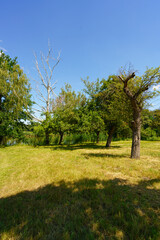 Naturschutzgebiet Haselbacher Teiche bei Haselbach, Landkreis Altenburger Land, Thüringen, Deutschland