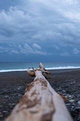 White tree trunk adrift at Shichiri-mihama Beach on a cloudy day in Mie Prefecture, Japan.