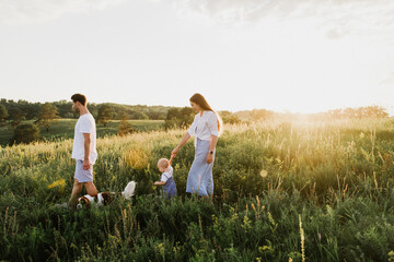Young beautiful family with a little daughter and a dog hug, kiss and walk in nature at sunset.