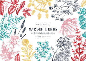 Medicinal herbs background. Hand sketched summer florals, herbs, weeds, and meadows design.  © sketched-graphics