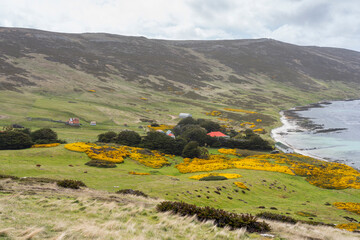 View from Carcass Island, Falkland Islands
