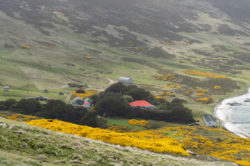 View from Carcass Island, Falkland Islands

