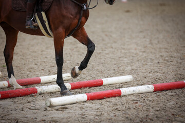 Horse close-up of legs when crossing trot bars..