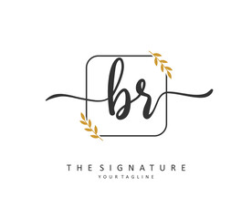 BR Initial letter handwriting and signature logo. A concept handwriting initial logo with template element.