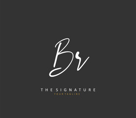 BR Initial letter handwriting and signature logo. A concept handwriting initial logo with template element.