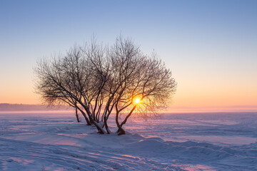 Winter sunset. Snowy winter nature landscape with sun on horizon