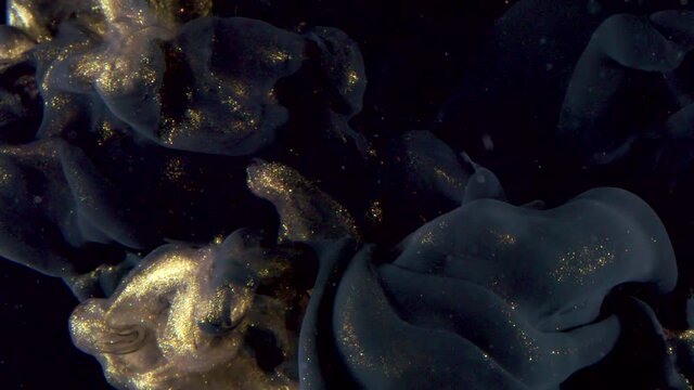 Luxurious Pale Gold and Black ink clouds swirl, Abstract macro liquid art